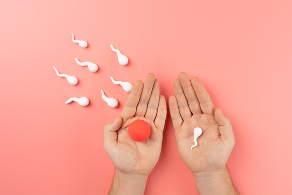 Fertility & Reproductive Health Image